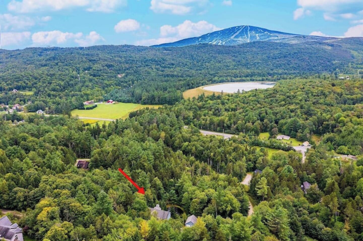A mountainous landscape with a large forested area, a lake, and scattered buildings.
