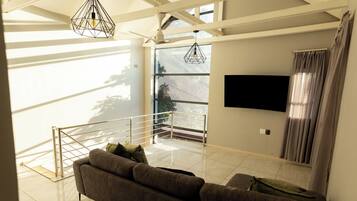 Smart TV, fireplace, books