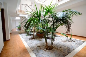 Apartment | Reception - Apartment in Spain Near Sandy Beach (Torroella de Montgrí)