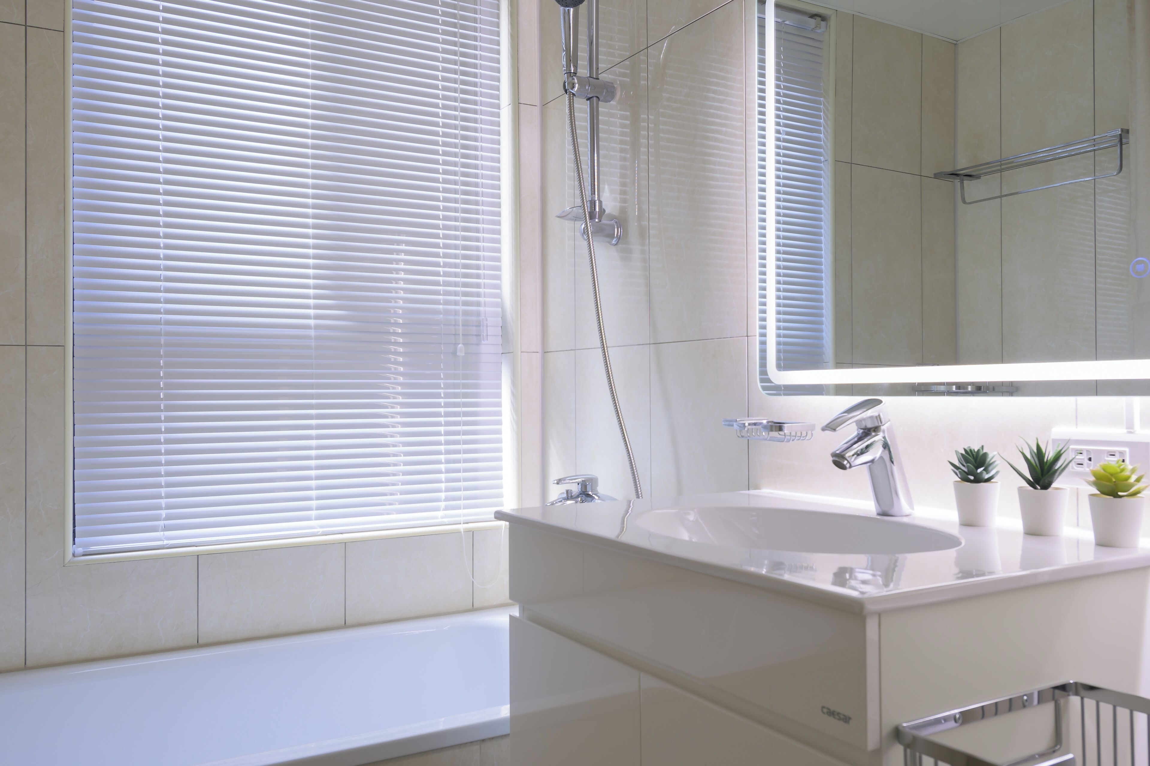 Hair dryer, bidet, towels, soap