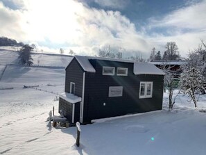 Eksteriør