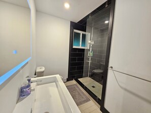 Shower, hair dryer, towels, soap