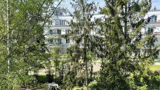 Un quartier résidentiel avec un grand arbre au premier plan et un immeuble à plusieurs étages en arrière-plan.