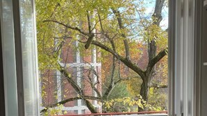 Une pièce avec vue sur les arbres et un bâtiment en briques, vue à travers une fenêtre.