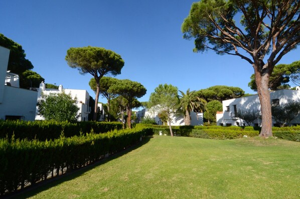 獨棟房屋 | 花園