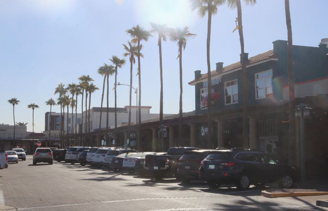 A street lined with palm trees and parked cars, with buildings on either side.