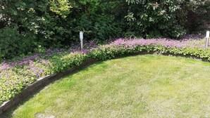 A landscaped garden with a curved grassy area, a brick border, and purple flowers. - Comfortable 6-person Holiday Home (Sint Maartensvlotbrug)