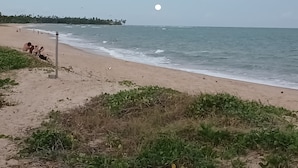 Ein Strand mit sandigem Ufer, etwas Grün und ruhiger See.
