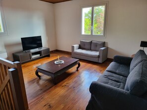 Smart TV, fireplace, DVD player, books