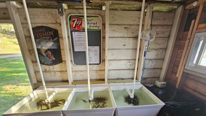 A rustic wooden interior with a 7UP sign, a menu board, and three fish tanks with water pumps. - Lakeside Serenity Meets Northern Adventure, Stunning Sunsets, Family Getaway! (Nevis)