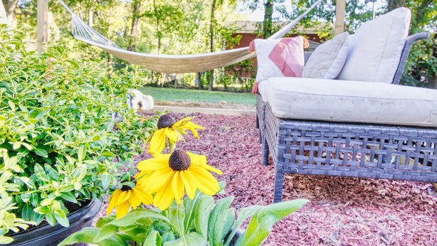 A wicker sofa with cushions, surrounded by potted plants and a hammock.
