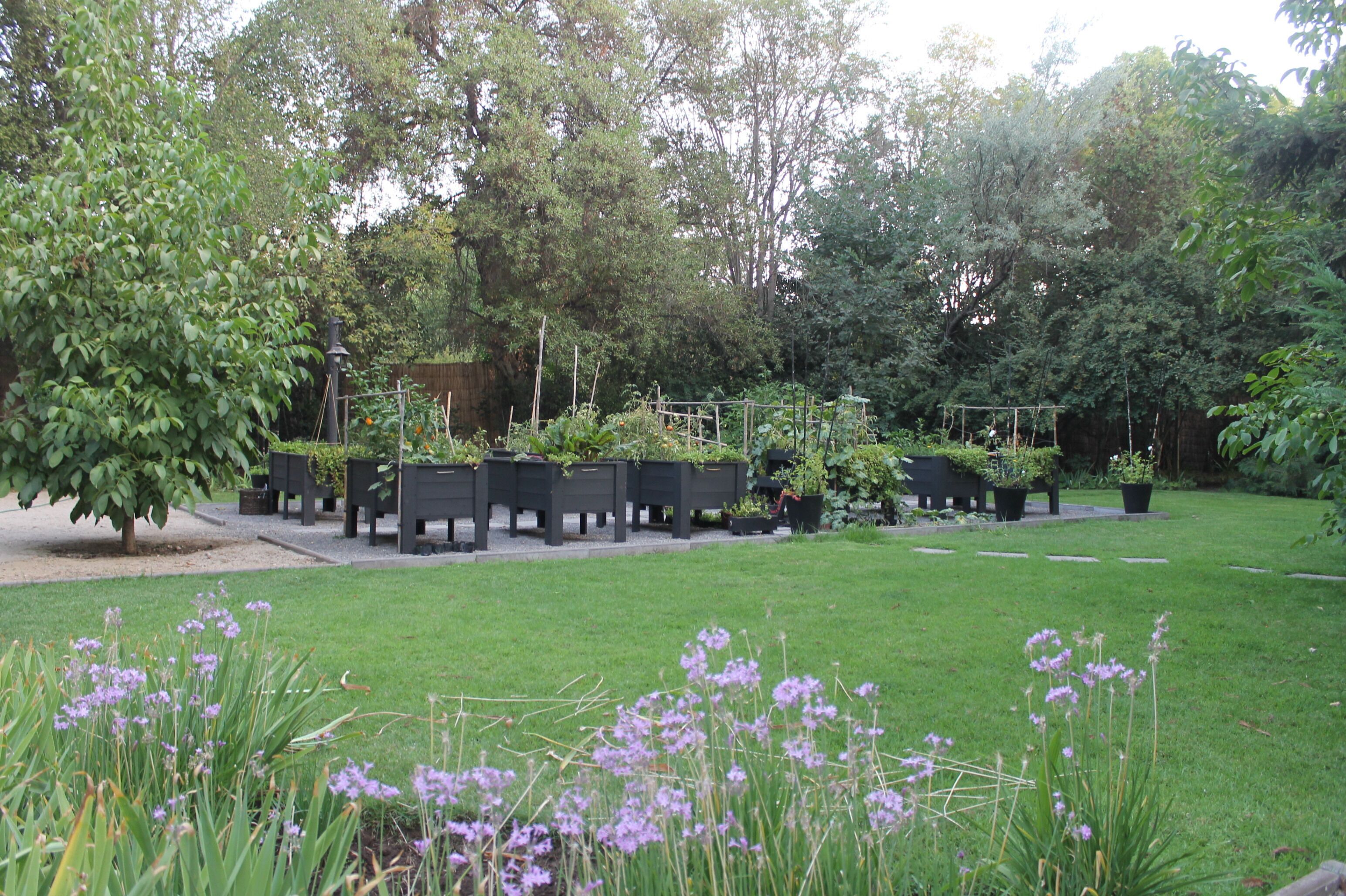 Áreas de la propiedad