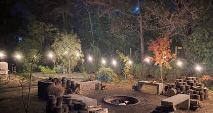 Escape to the forest! - Vintage House (Chicureo)