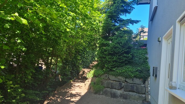 Un sendero estrecho bordeado por abundante vegetación y un muro de piedra, que conduce a un edificio con una puerta blanca y un ventanal pequeño.