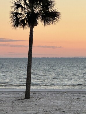 A single palm tree on a sandy beach with a calm sea and a sunset in the background.