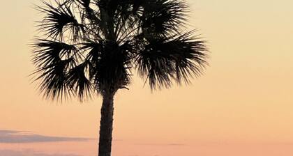 Pet friendly coastal home. Steps from the beach and pool in back yard.