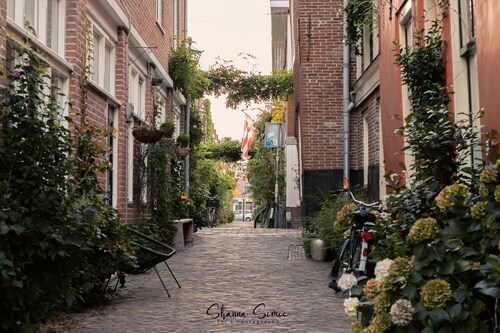 Penthouse Trendy inside the historical old city of Alkmaar! 