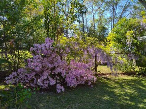 Terrain de l’hébergement 