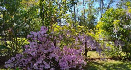 Charming 2 BR Cottage Near Downtown New Bern w 2.5 BA