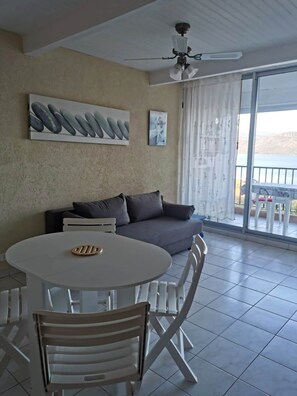 Televisión y libros 