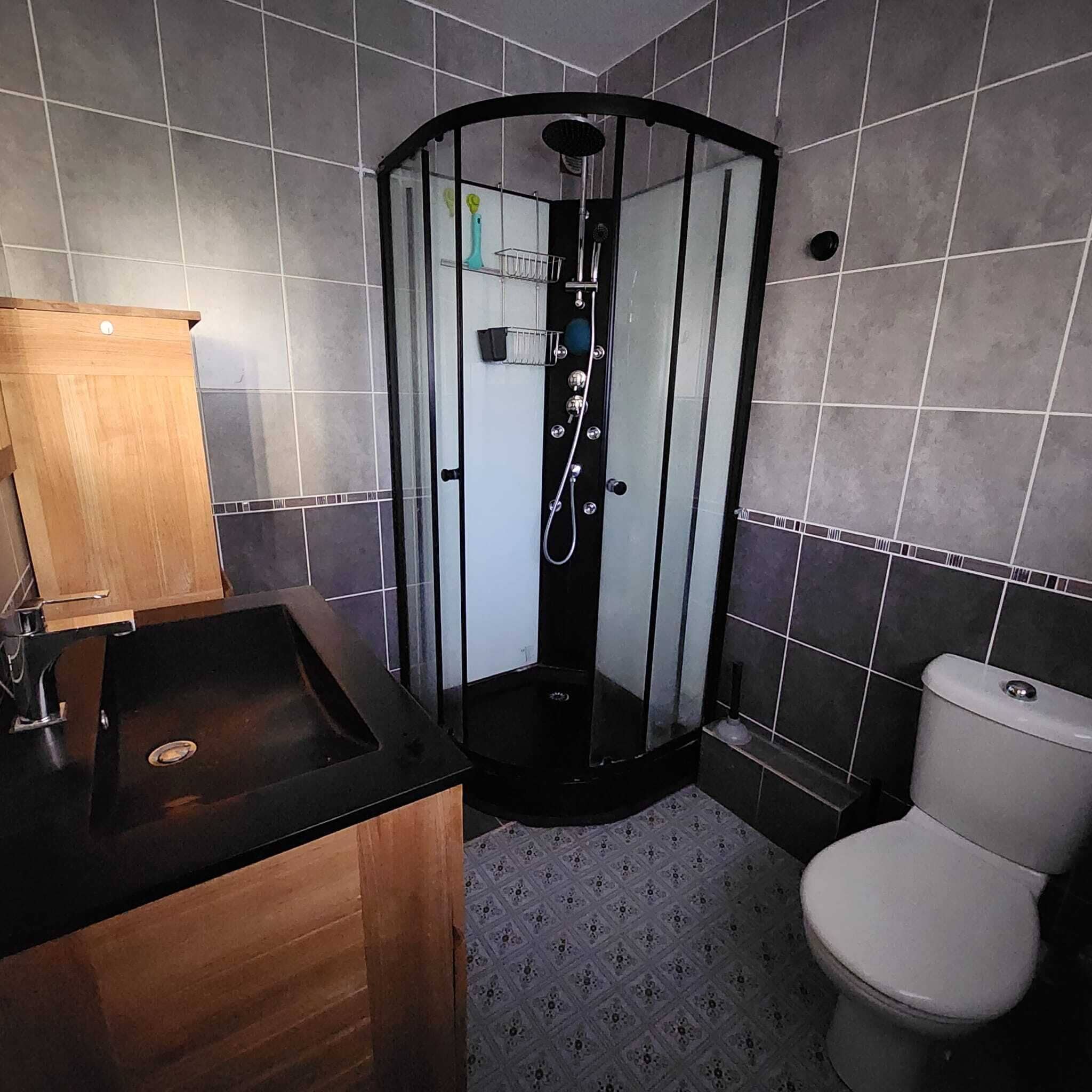 Shower, hair dryer, bidet, towels