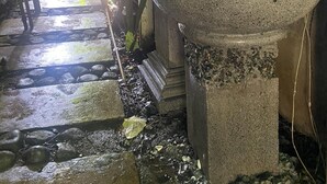 Une fontaine en pierre où l’eau jaillit, entourée de verdure et bordée d’un chemin de pierre menant à un espace plus lumineux.