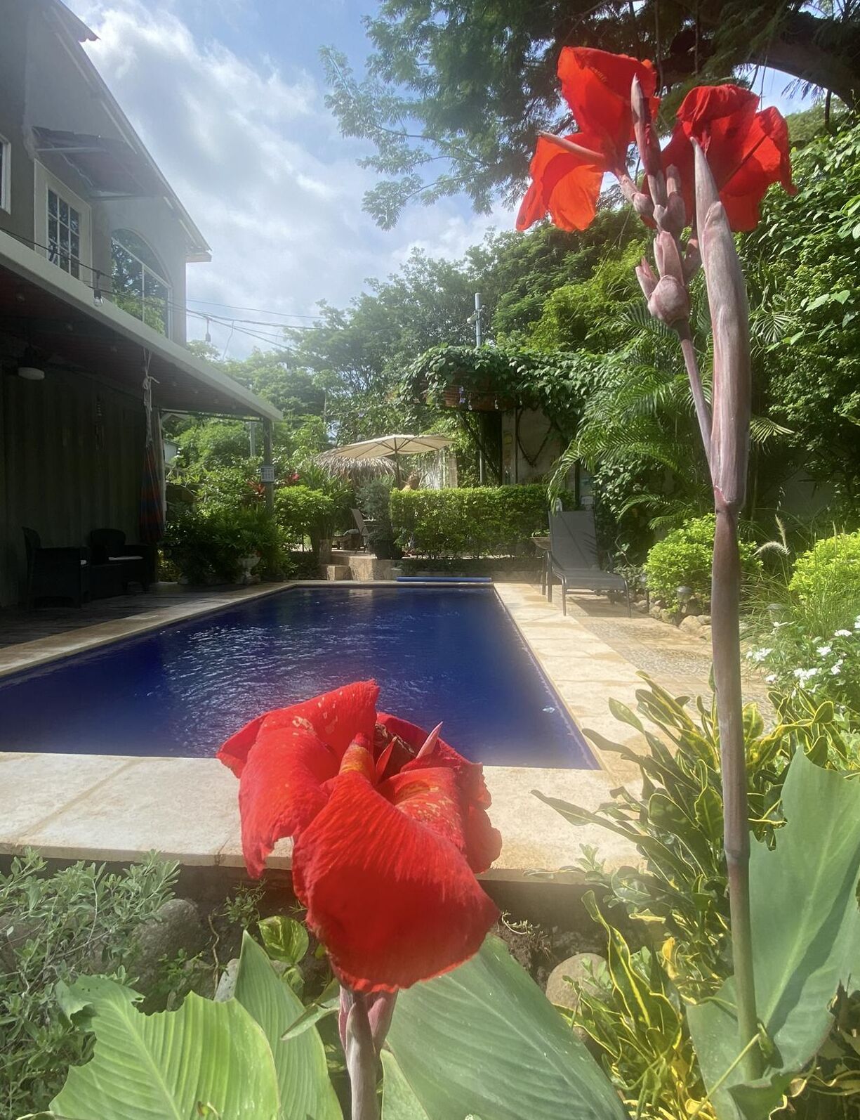 Outdoor pool