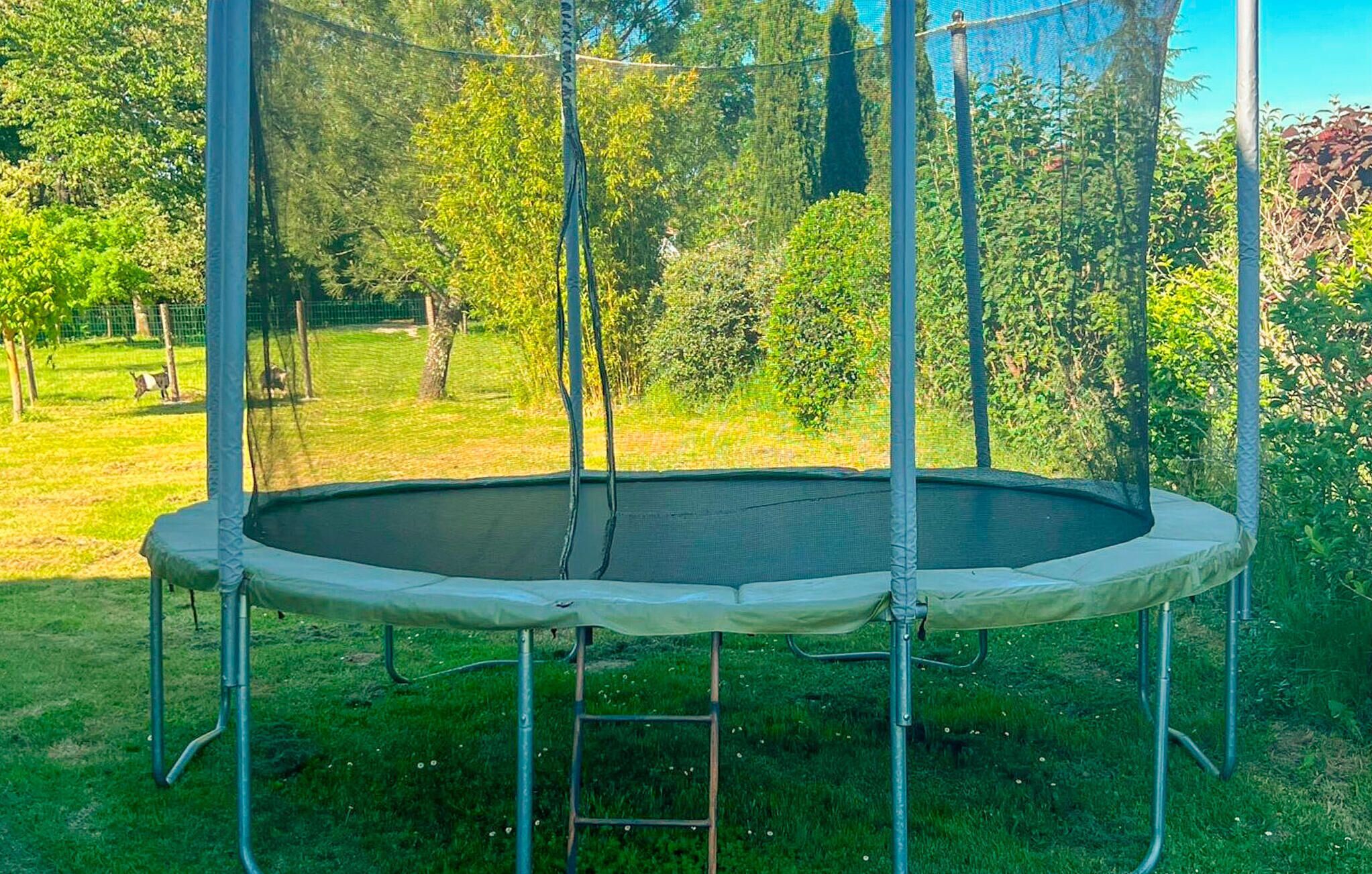 Un trampoline doté d’un filet de protection, entouré d’herbe et d’arbres.