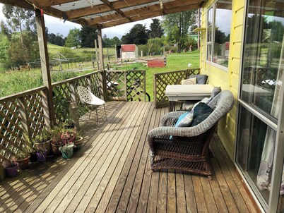 Tranquility in Rangiwahia. Bush walks, tramp the Ruahines and Rangiwahia hut. 