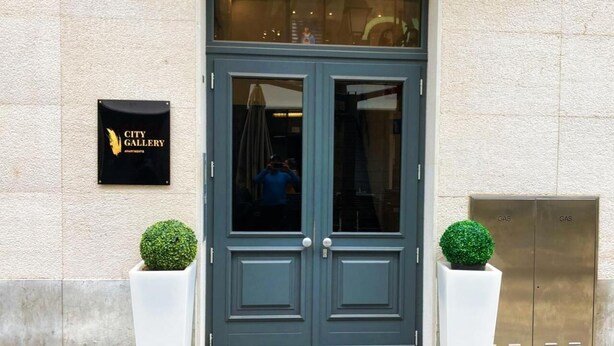 A double door entrance with a sign for City Gallery Apartments, two potted plants, and a gas meter on the right. - City Gallery Apartments (Trieste)