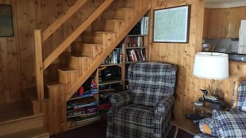 Télévision, lecteur de DVD, livres, vidéothèque