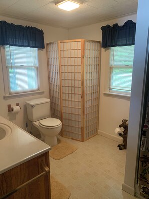 Shower, towels, toilet paper