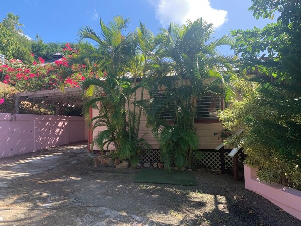 A residential area with a house surrounded by lush greenery, including palm trees and flowering plants.
