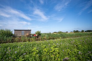 A rustic cabin with a wooden exterior, situated in a lush field with purple flowers.