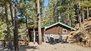A lodge with a stone exterior, a green roof, and outdoor seating. - MTNSIDE Cabin with VIEWS by LYNX LAKE 20 min to TOWN (Prescott)