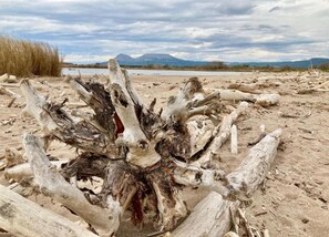 Apartment | View from property - Apartment in Estartit Near sea Beach (Torroella de Montgrí)