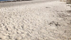Ein sandiger Strand mit blauem Himmel und ruhiger See.