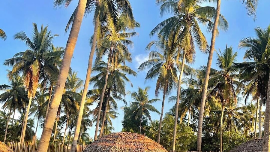The Dome Hotel Puerto Princesa