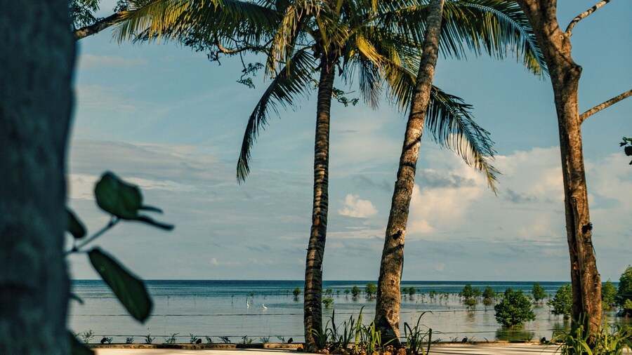 The Dome Hotel Puerto Princesa