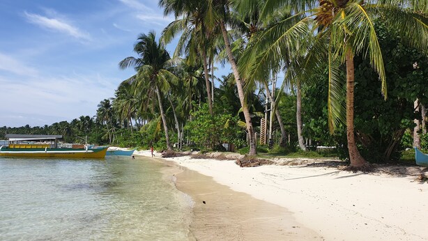Una playa con agua cristalina, palmeras y un bote amarrado en la orilla.