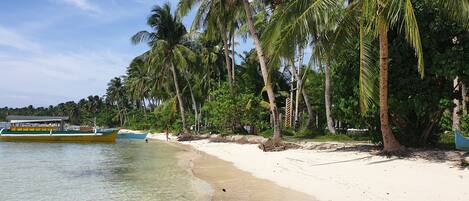 Nær stranden og hvit sand