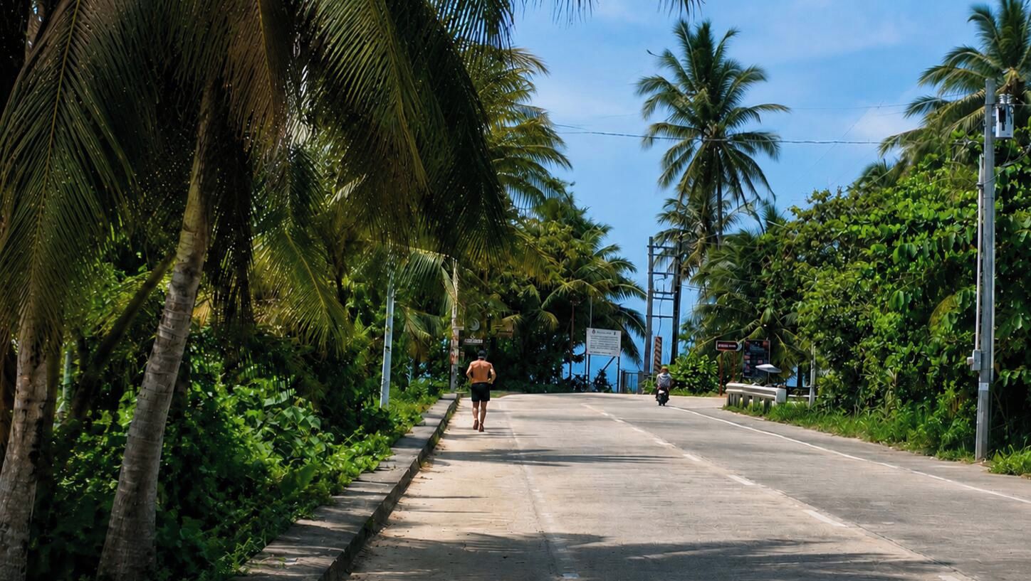 Una carretera pavimentada bordeada por exuberante vegetación y palmeras, bajo un cielo despejado.
