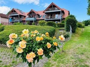 Exterior - Apartment Alice with 2 balconies and sea view - Maisonette with 2 balconies and sea view (Putbus)