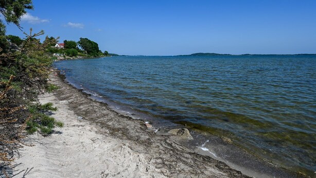 Ein Strand mit klarem Wasser, sandigem Ufer und etwas Vegetation.