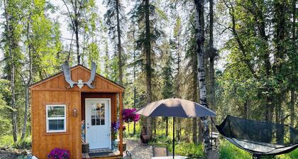 Small Dry Cabin Between Kenai and Kasilof Rivers.
