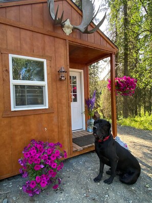 Détail de l’extérieur