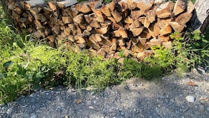 Un montón de leña en un entorno natural, con árboles y hierba.