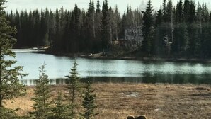 Un paisaje natural con un lago, bosque y una casa al fondo.