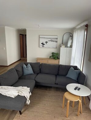 Smart-TV, videospill, DVD-spiller og bøker