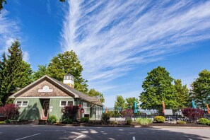 Exterior - The Jackrabbit  - 3 Summer Village (Prince Edward)